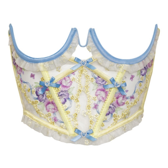 NWT Victoria's Secret x FLL Lavender Meadows Embroidery Corset & Thong Set - Picture 6 of 7